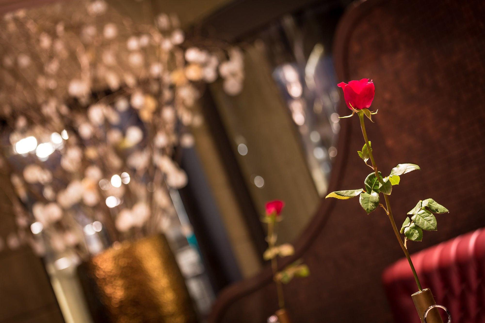 ברצלונה Hotel Bagues, A Small Luxury Hotel Of The World מסעדה תמונה